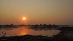 Kabwe  Campsite im Kasanka NP